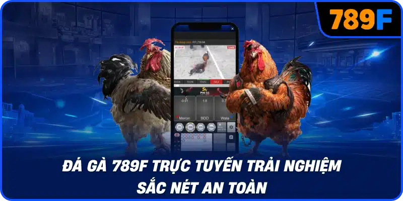 Đá gà 789F trực tuyến trải nghiệm sắc nét an toàn